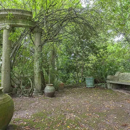 ゲストハウス The Romantic Suites & Garden (adults Only)
