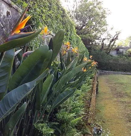 The Romantic Suites & Garden (adults Only) Guest house Sintra