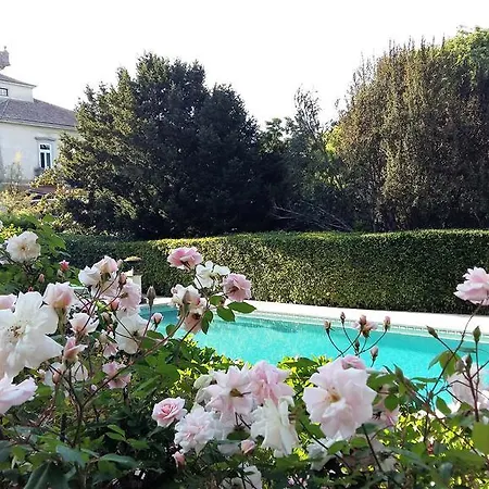 The Romantic Suites & Garden (adults Only) 신트라