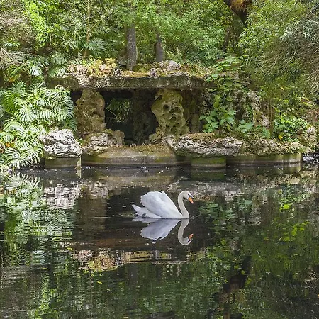 The Romantic Suites & Garden (adults Only) 3* シントラ