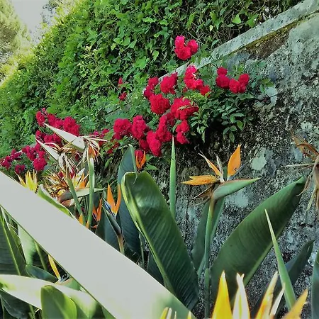 The Romantic Suites & Garden (adults Only) Guest house 3*