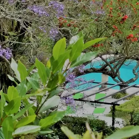 The Romantic Suites & Garden (adults Only) Guest house